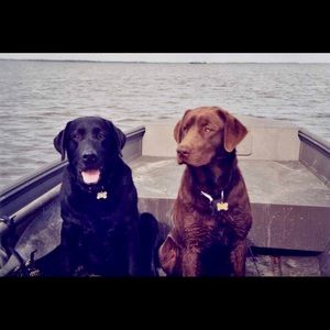 Meet your Posher, George